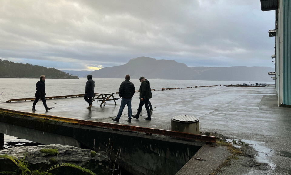 – Ta en fot i bakken