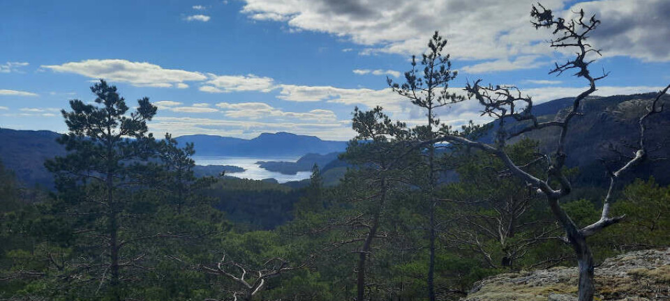 Mibau Stema-utvidinga: Mange kritiske røyster i høyringa
