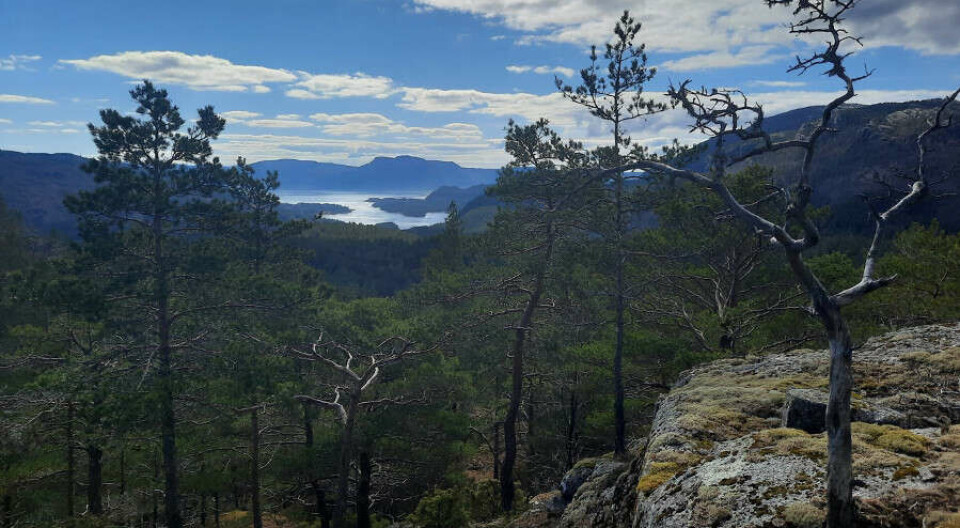 Mibau Stema-utvidinga: Mange kritiske røyster i høyringa