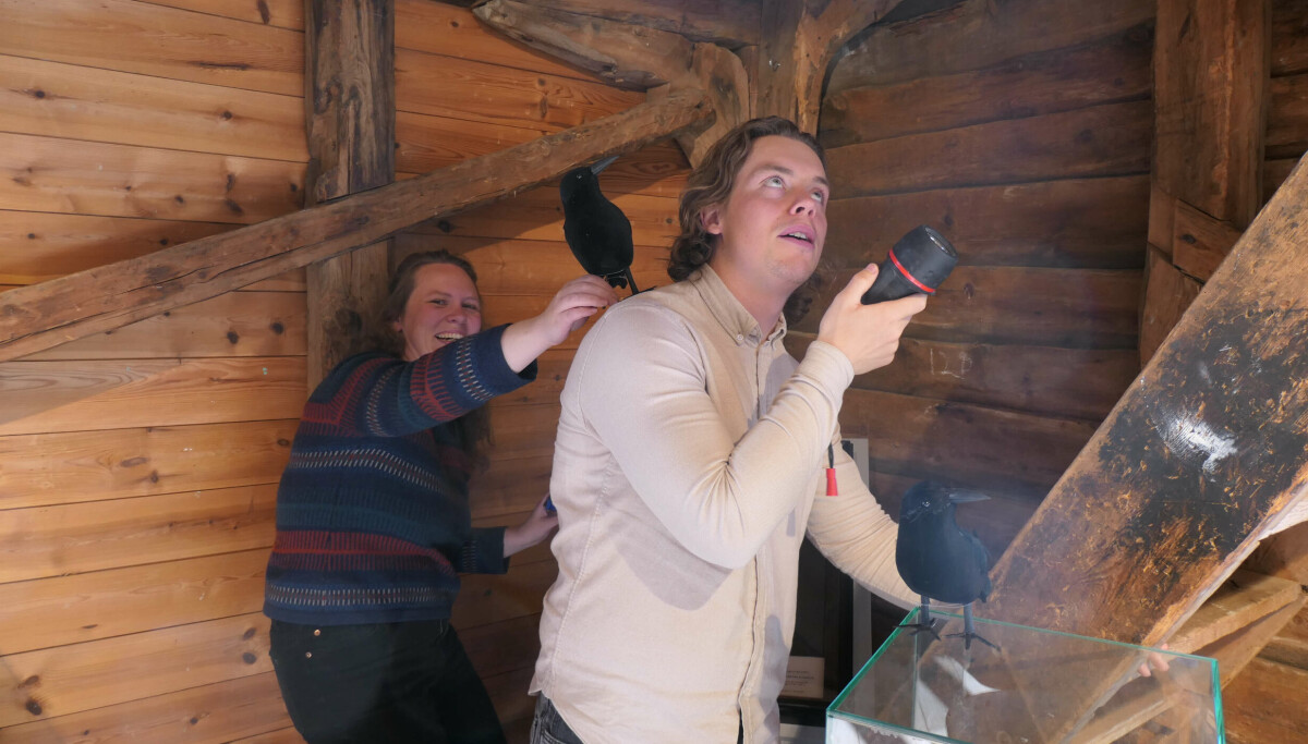 Skummel natt på museet