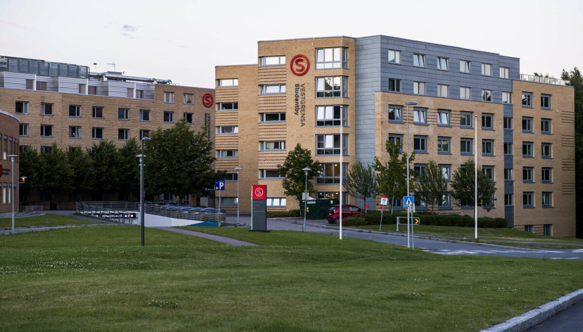 Gjer 12 590 står framleis i studentbustadkø: – Tala gjer meg bekymra