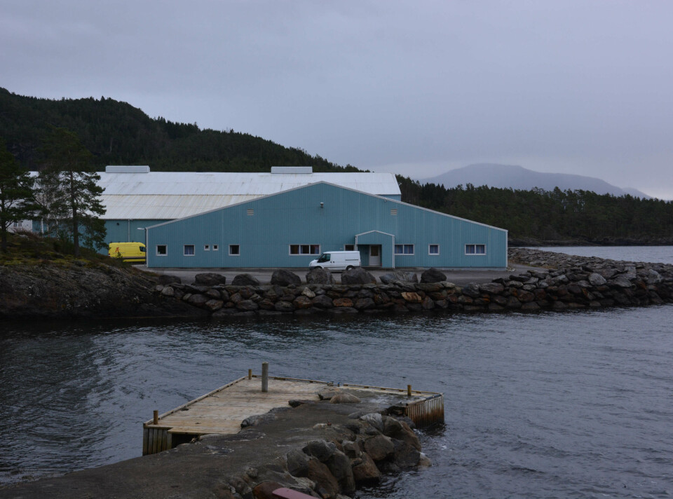 Sandsbedrift ønskjer å flytta til Tønnefabrikk-området, men har også større visjonar for Jelsa