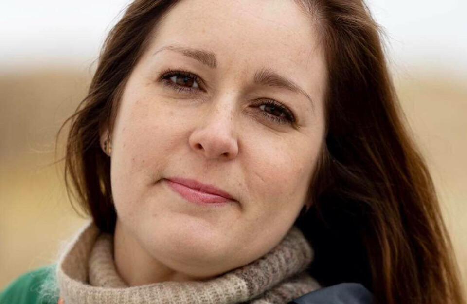 Svarer Lunde (V): – Nei-sida fekk rett om straumprisane, nå åtvarar vi mot EUs bustadkrav