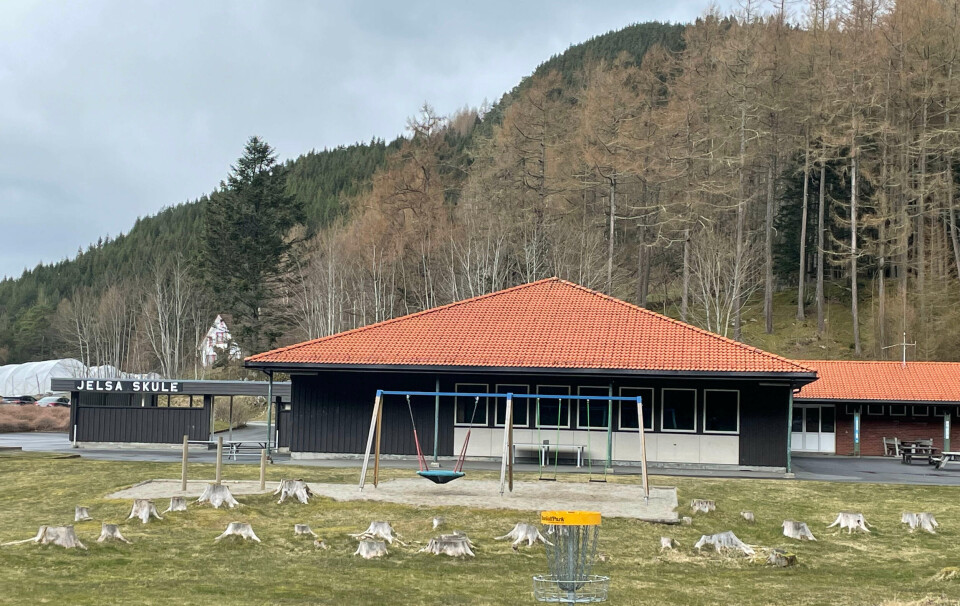 Skuleplanen:– For dumt