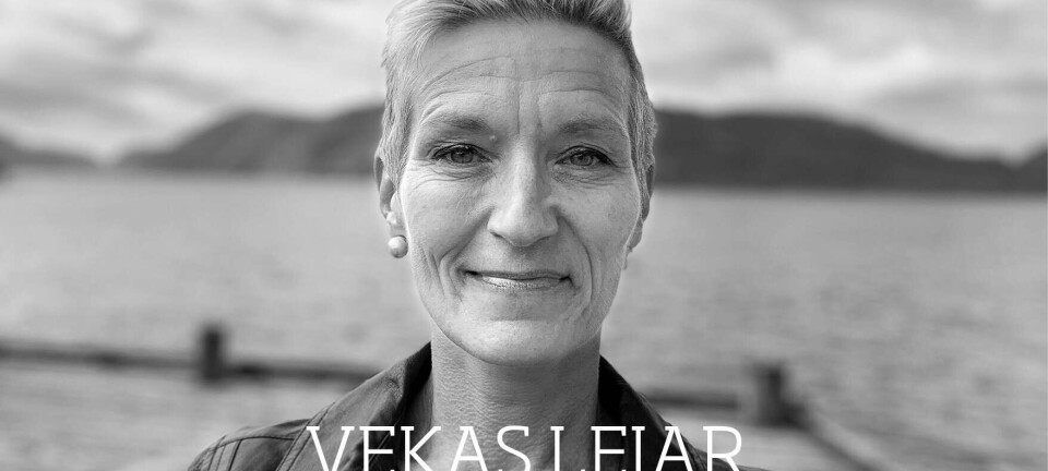 Detalj-mandelen i grauten