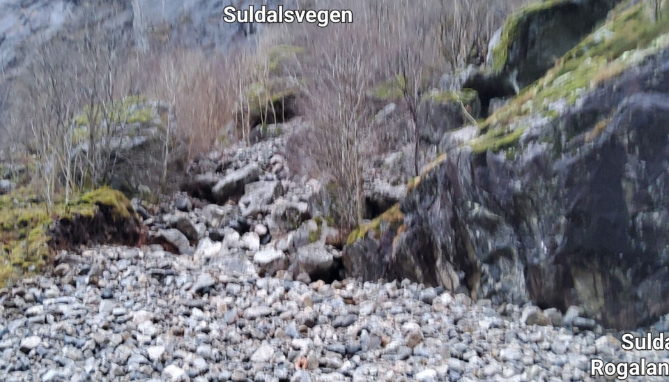 Frå fjellsida der raset kom.