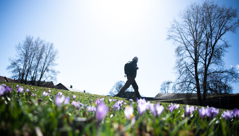 Det var fleire som opplevde ei spesielt varm helg for mars å vera. Foto: Annika Byrde / NTB / NPK