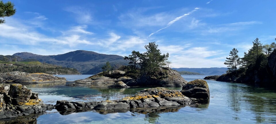 Hjemme alene-fest i Hjelmeland kommune