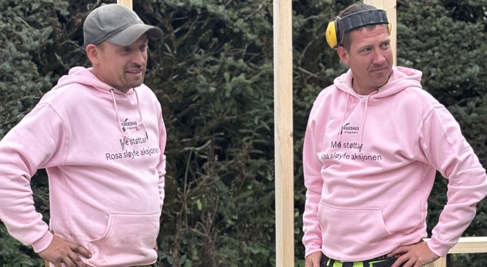 Tar i eit rosa tak