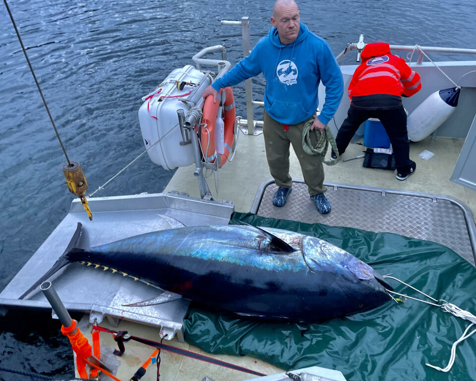 Monsterfiskefeberen herjar Vestland