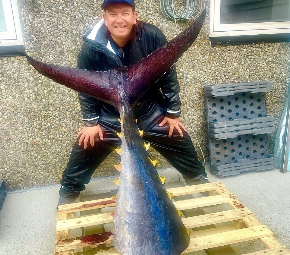 – Alt som blir sagt når fisken er på kroken, kan ein berre gløyme etterpå. Alle veit at du ikkje meiner det du seier då, for hjernen er ikkje påkopla hjå nokon av oss, seier Asmund Aasheim.
