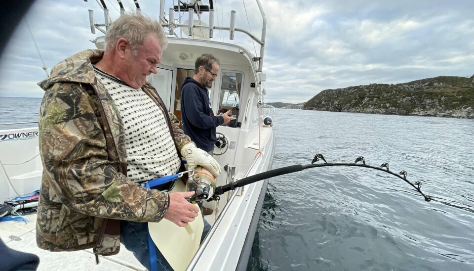 I 2021 vart makrellstørja fjerna frå raudlista. Her kjempar Bjørn Furre med rekordfisken i Stolmasundet i Austevoll.