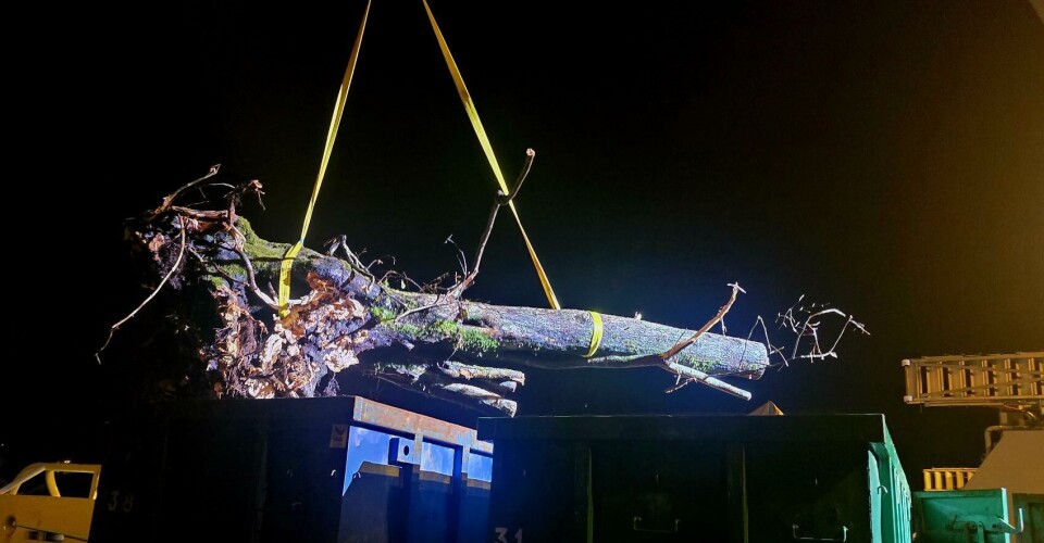 Ryddejobben etter Amy, sjå film og bilde