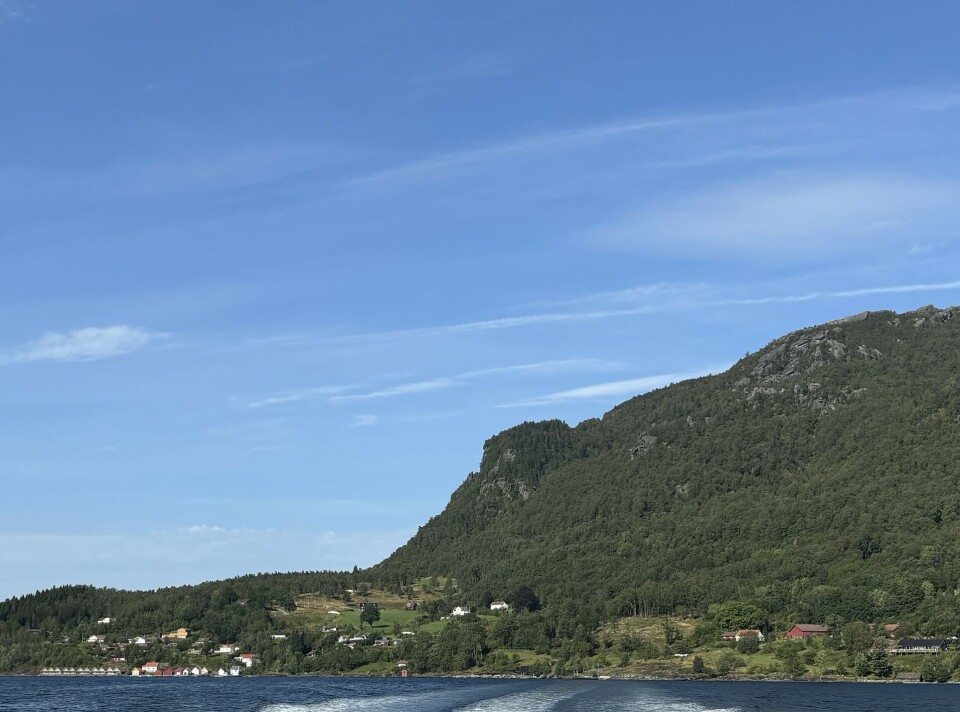 – Grendeskulane i Suldal ligg på hoggestabben