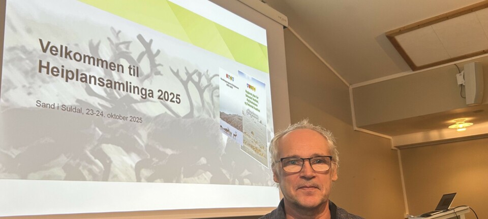 Kva vil dei planlagde pumpekraftverka bety for villreinen?