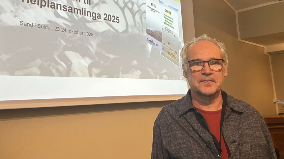 Kva vil dei planlagde pumpekraftverka bety for villreinen?